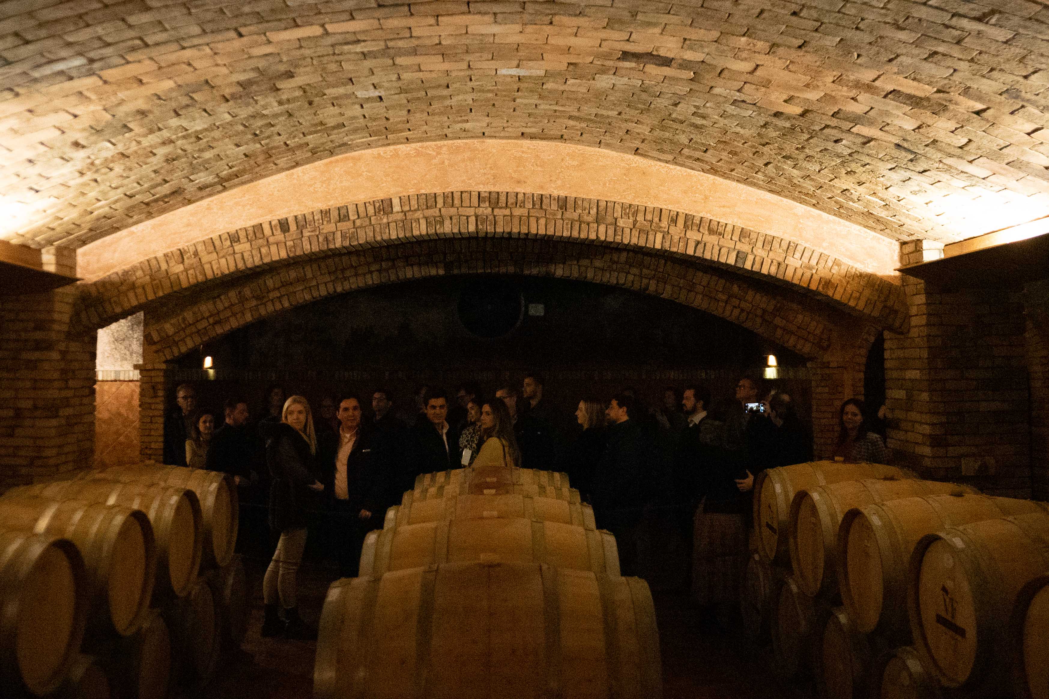 Momento NeuroWine